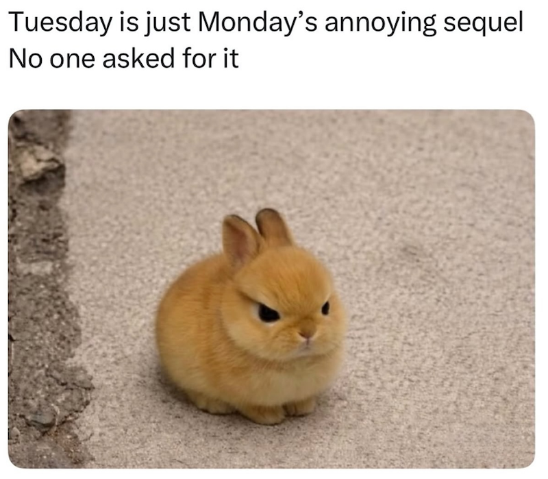 Tuesday is just Monday's annoying sequel No one asked for it