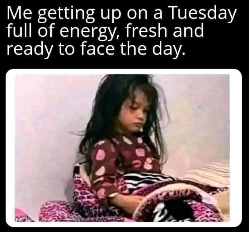 Me getting up on a Tuesday full of energy, fresh and ready to face the day.