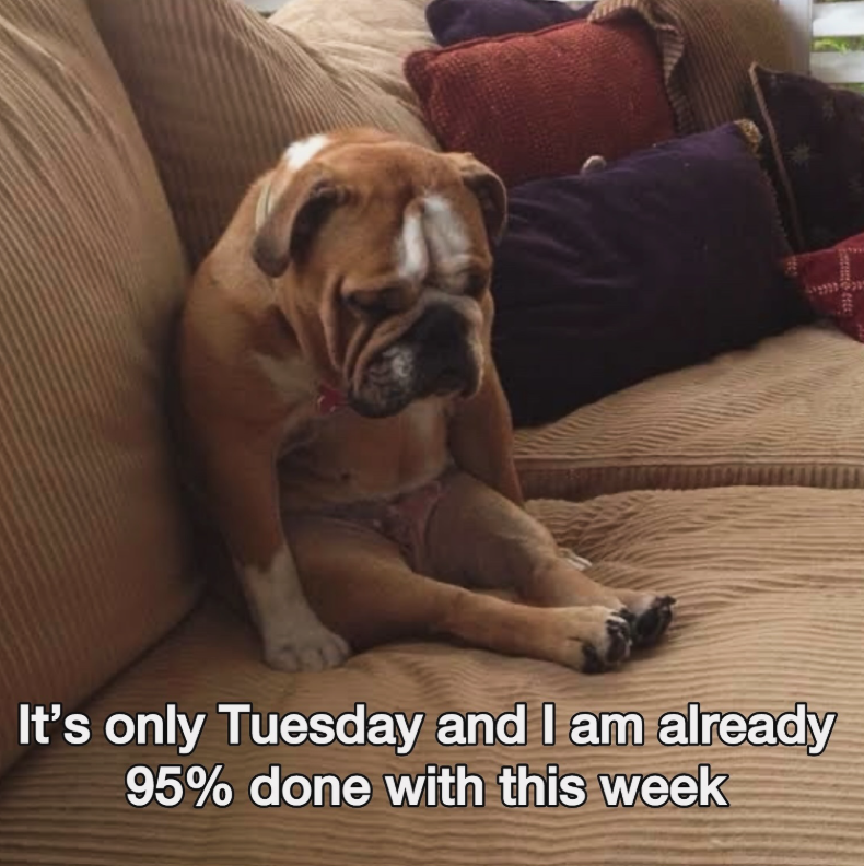 It's only Tuesday and I am already 95% done with this week