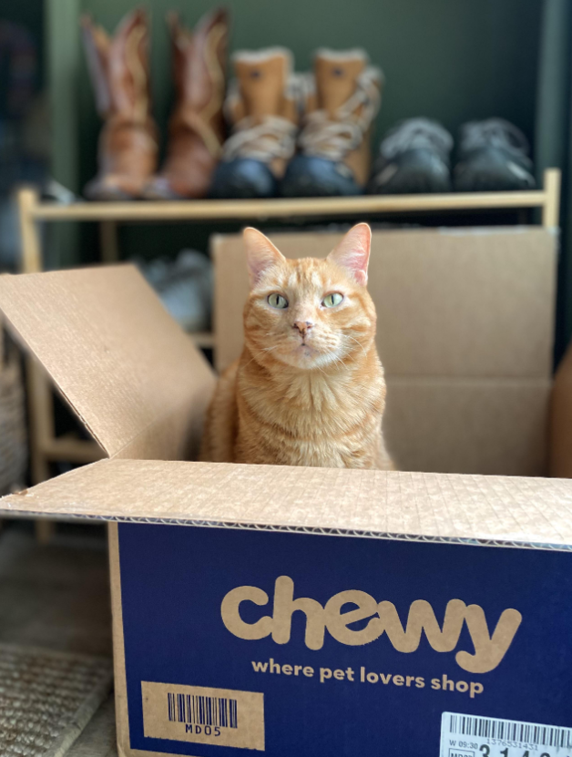 chewy where pet lovers shop MD05 1376531431 W 09:30