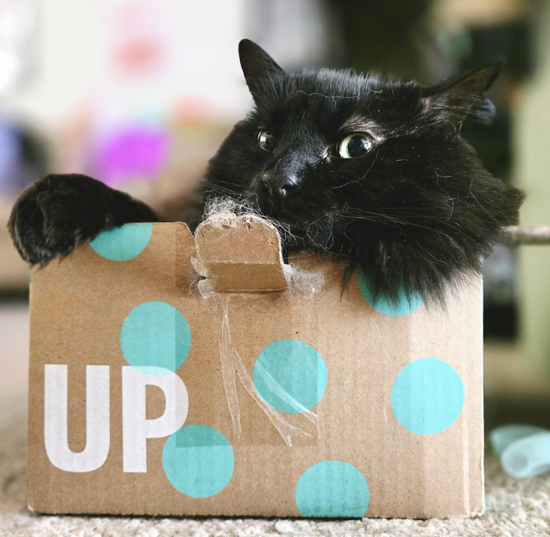 UP