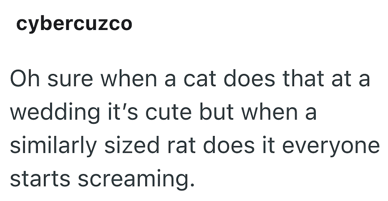 cybercuzco Oh sure when a cat does that at a wedding it's cute but when a similarly sized rat does it everyone starts screaming.