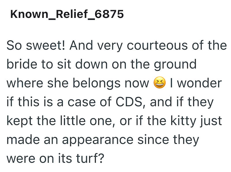 Known_Relief_6875 So sweet! And very courteous of the bride to sit down on the ground where she belongs now I wonder if this is a case of CDS, and if they kept the little one, or if the kitty just made an appearance since they were on its turf?