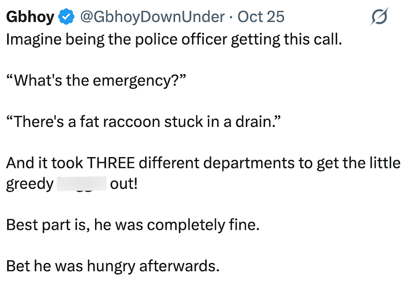 Gbhoy @Gbhoy Down Under · Oct 25 Imagine being the police officer getting this call. "What's the emergency?" "There's a fat raccoon stuck in a drain." And it took THREE different departments to get the little greedy out! Best part is, he was completely fine. Bet he was hungry afterwards.