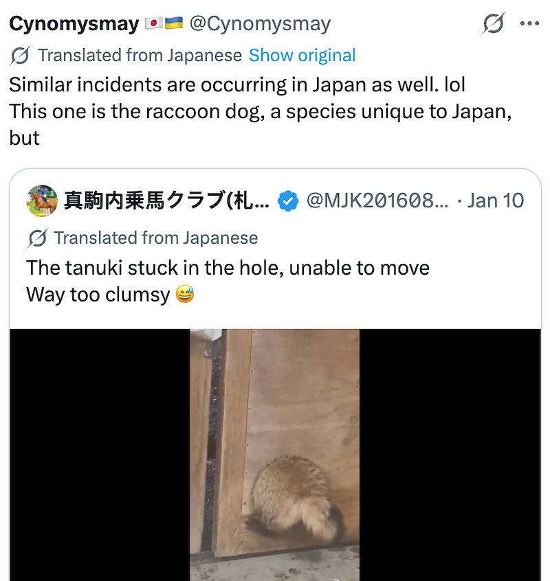 Cynomysmay @Cynomysmay Translated from Japanese Show original Similar incidents are occurring in Japan as well. lol This one is the raccoon dog, a species unique to Japan, but 真駒内乗馬クラブ(札... @MJK201608... . Jan 10 Translated from Japanese The tanuki stuck in the hole, unable to move Way too clumsy