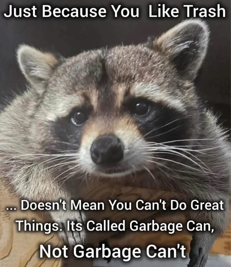 Just Because You Like Trash Doesn't Mean You Can't Do Great Things. Its Called Garbage Can, Not Garbage Can't