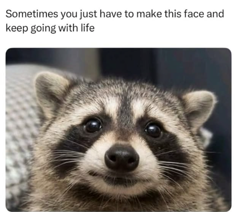 Sometimes you just have to make this face and keep going with life