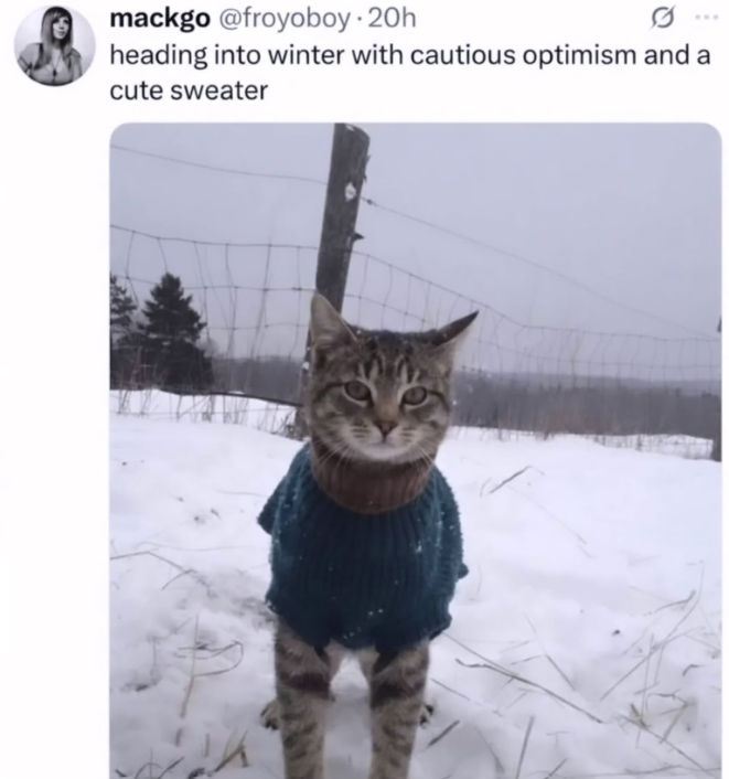 mackgo @froyoboy. 20h heading into winter with cautious optimism and a cute sweater