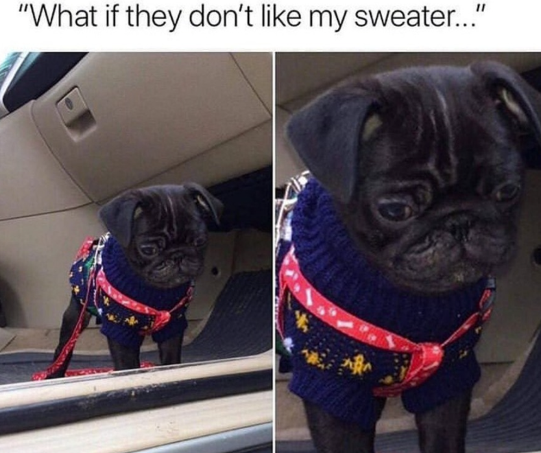 "What if they don't like my sweater..."