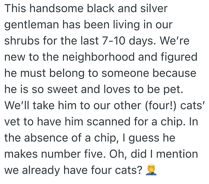 This handsome black and silver gentleman has been living in our shrubs for the last 7-10 days. We're new to the neighborhood and figured he must belong to someone because he is so sweet and loves to be pet. We'll take him to our other (four!) cats' vet to have him scanned for a chip. In the absence of a chip, I guess he makes number five. Oh, did I mention we already have four cats?