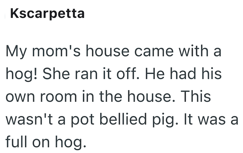 Kscarpetta My mom's house came with a hog! She ran it off. He had his own room in the house. This wasn't a pot bellied pig. It was a full on hog.