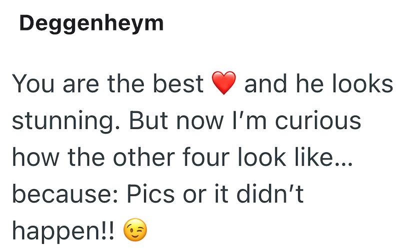 Deggenheym You are the best and he looks stunning. But now I'm curious how the other four look like... because: Pics or it didn't happen!!