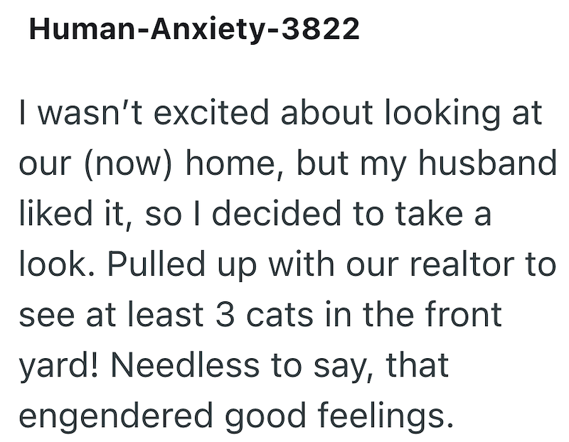 Human-Anxiety-3822 I wasn't excited about looking at our (now) home, but my husband liked it, so I decided to take a look. Pulled up with our realtor to see at least 3 cats in the front yard! Needless to say, that engendered good feelings.