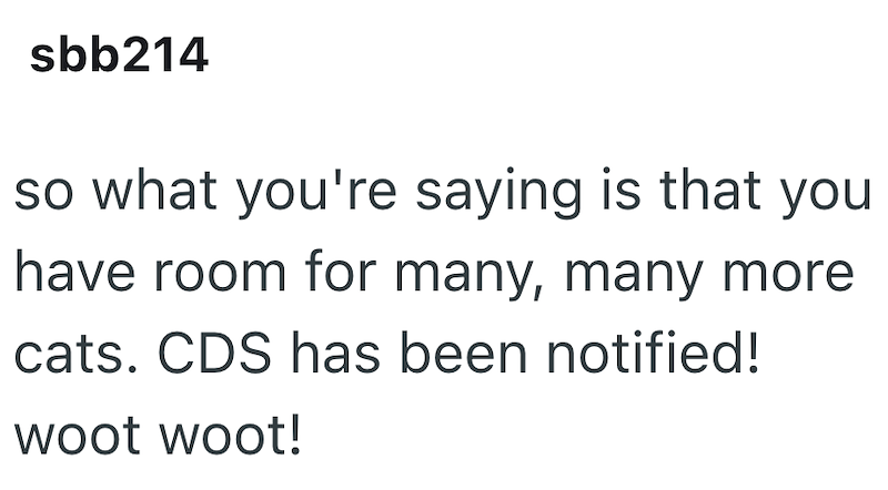 sbb214 so what you're saying is that you have room for many, many more cats. CDS has been notified! woot woot!