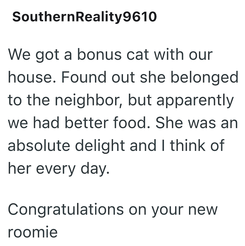 Southern Reality 9610 We got a bonus cat with our house. Found out she belonged to the neighbor, but apparently we had better food. She was an absolute delight and I think of her every day. Congratulations on your new roomie