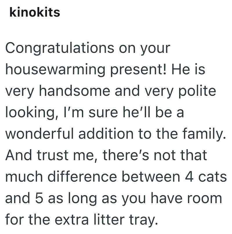 kinokits Congratulations on your housewarming present! He is very handsome and very polite looking, I'm sure he'll be a wonderful addition to the family. And trust me, there's not that much difference between 4 cats and 5 as long as you have room for the extra litter tray.