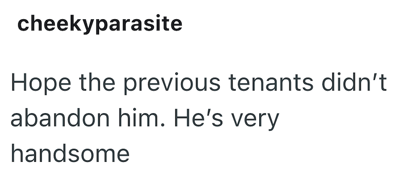 cheekyparasite Hope the previous tenants didn't abandon him. He's very handsome