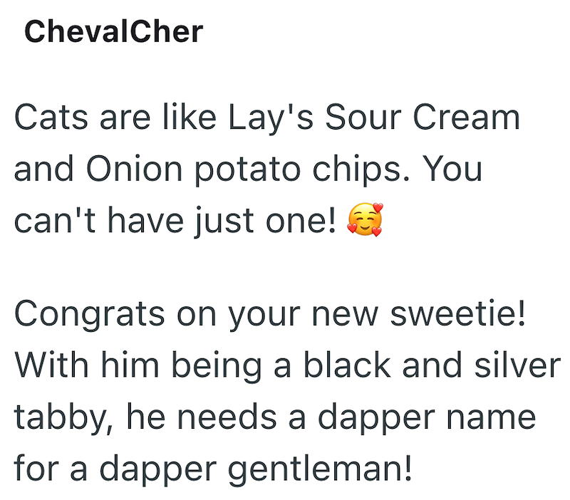 ChevalCher Cats are like Lay's Sour Cream and Onion potato chips. You can't have just one! Congrats on your new sweetie! With him being a black and silver tabby, he needs a dapper name for a dapper gentleman!