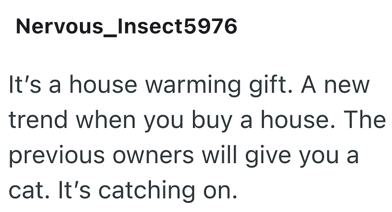 Nervous_Insect5976 It's a house warming gift. A new trend when you buy a house. The previous owners will give you a cat. It's catching on.