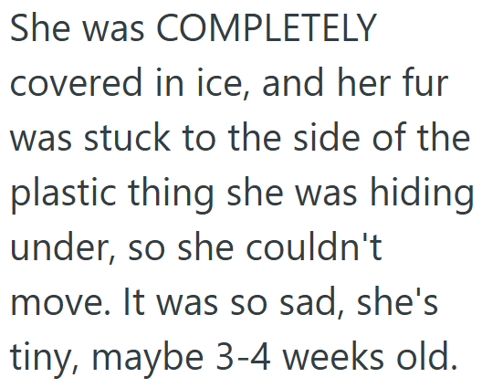 She was COMPLETELY covered in ice, and her fur was stuck to the side of the plastic thing she was hiding under, so she couldn't move. It was so sad, she's tiny, maybe 3-4 weeks old.