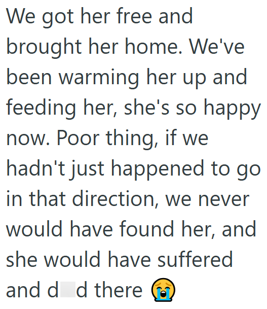 We got her free and brought her home. We've been warming her up and feeding her, she's so happy now. Poor thing, if we hadn't just happened to go in that direction, we never would have found her, and she would have suffered and d d there