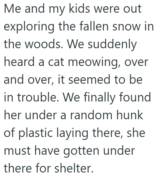 Me and my kids were out exploring the fallen snow in the woods. We suddenly heard a cat meowing, over and over, it seemed to be in trouble. We finally found her under a random hunk of plastic laying there, she must have gotten under there for shelter.