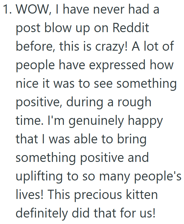 1. WOW, I have never had a post blow up on Reddit before, this is crazy! A lot of people have expressed how nice it was to see something positive, during a rough time. I'm genuinely happy that I was able to bring something positive and uplifting to so many people's lives! This precious kitten definitely did that for us!