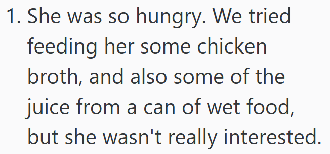 1. She was so hungry. We tried feeding her some chicken broth, and also some of the juice from a can of wet food, but she wasn't really interested.