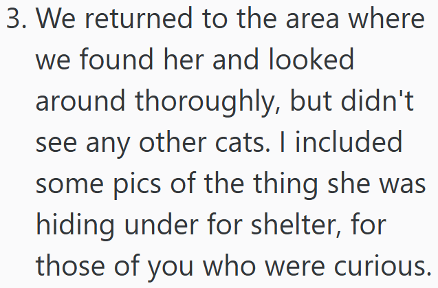 3. We returned to the area where we found her and looked around thoroughly, but didn't see any other cats. I included some pics of the thing she was hiding under for shelter, for those of you who were curious.