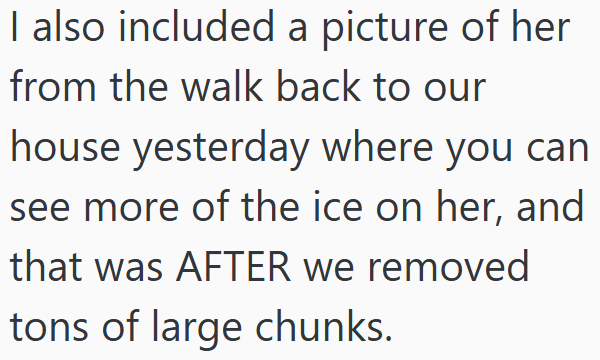 I also included a picture of her from the walk back to our house yesterday where you can see more of the ice on her, and that was AFTER we removed tons of large chunks.