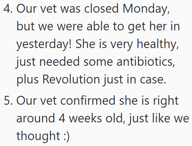 4. Our vet was closed Monday, but we were able to get her in yesterday! She is very healthy, just needed some antibiotics, plus Revolution just in case. 5. Our vet confirmed she is right around 4 weeks old, just like we thought :)
