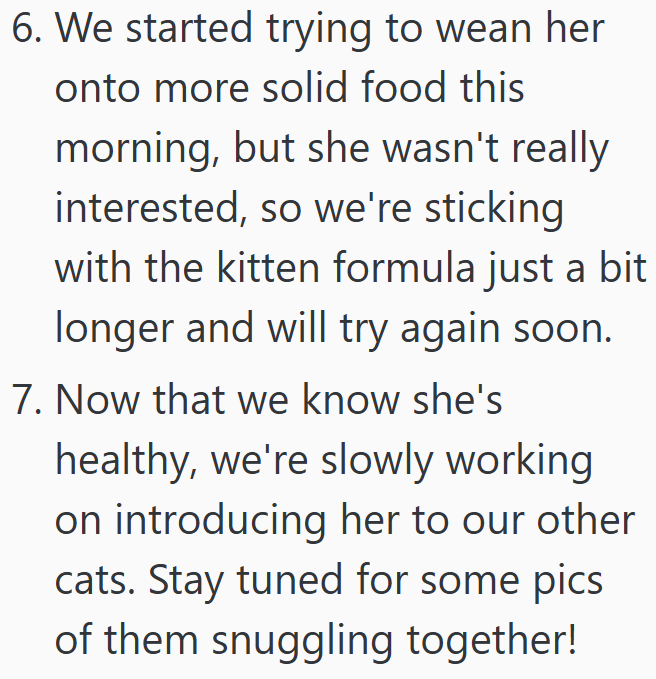 6. We started trying to wean her onto more solid food this morning, but she wasn't really interested, so we're sticking with the kitten formula just a bit longer and will try again soon. 7. Now that we know she's healthy, we're slowly working on introducing her to our other cats. Stay tuned for some pics of them snuggling together!