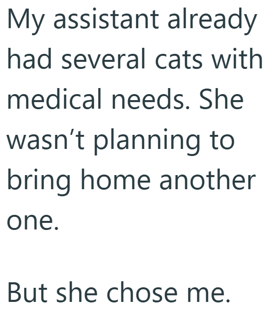My assistant already had several cats with medical needs. She wasn't planning to bring home another one. But she chose me.