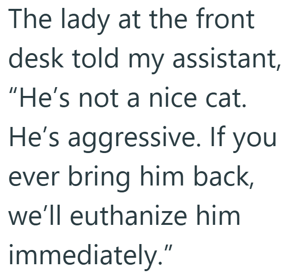 The lady at the front desk told my assistant, "He's not a nice cat. He's aggressive. If you ever bring him back, we'll euthanize him immediately."