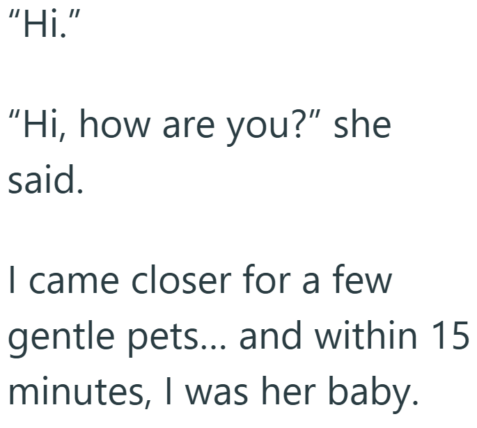 “Hi.” "Hi, how are you?" she said. I came closer for a few gentle pets... and within 15 minutes, I was her baby.