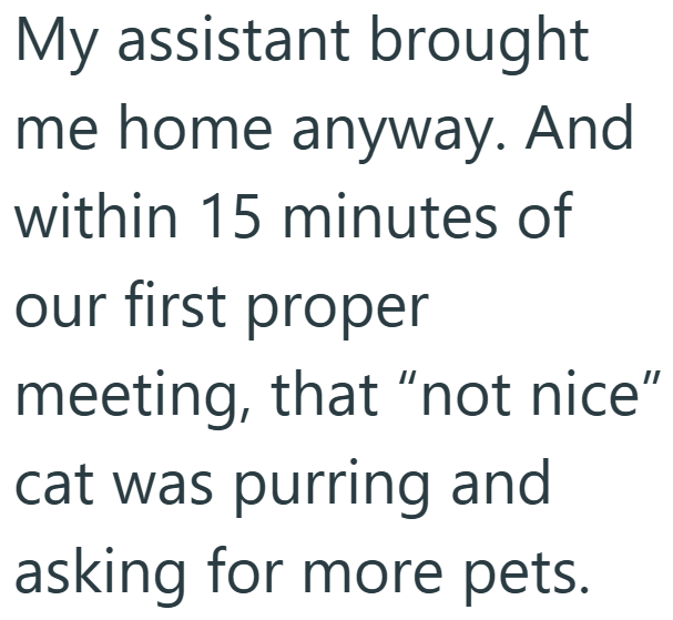 My assistant brought me home anyway. And within 15 minutes of our first proper meeting, that "not nice" cat was purring and asking for more pets.