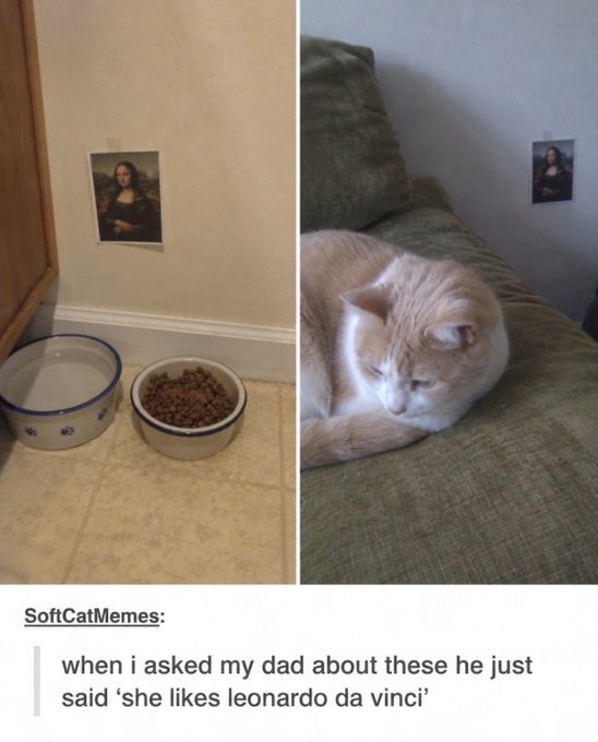SoftCatMemes: when i asked my dad about these he just said 'she likes leonardo da vinci'