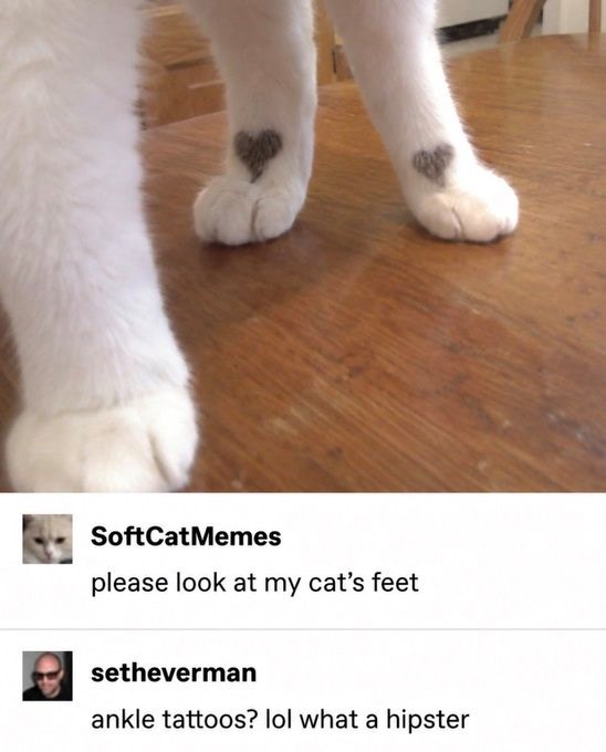 SoftCatMemes please look at my cat's feet setheverman ankle tattoos? lol what a hipster
