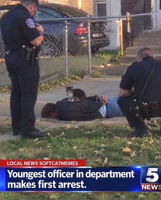 LOCAL NEWS SOFTCATMEMES Youngest officer in department 5 makes first arrest. NEWS