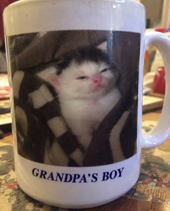 GRANDPA'S BOY