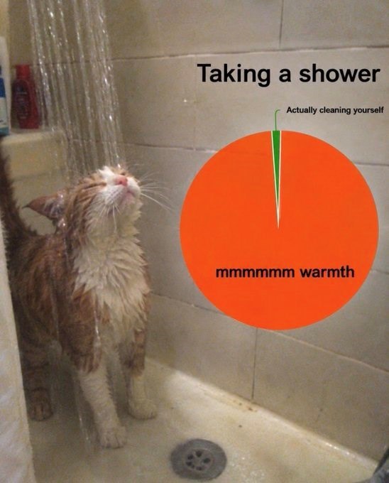 Taking a shower Actually cleaning yourself mmmmmm warmth