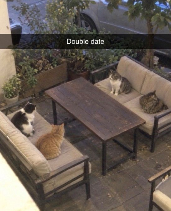 Double date