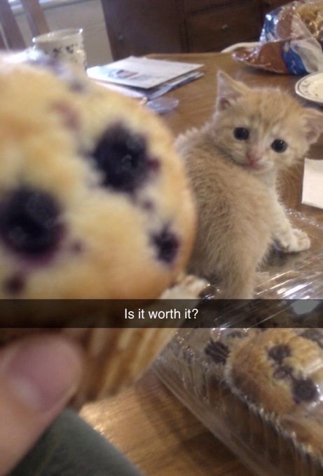 Is it worth it?