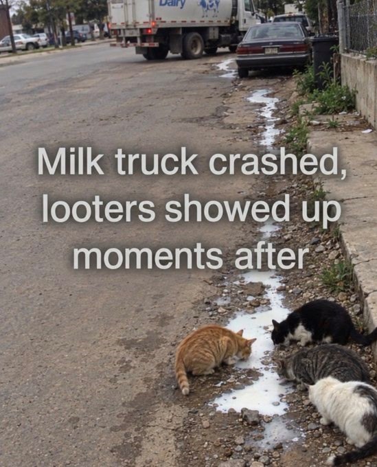 Milk truck crashed, looters showed up moments after