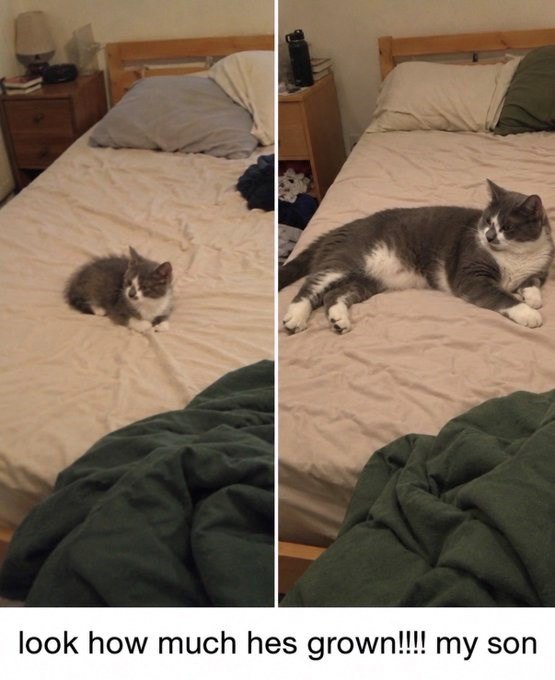 look how much hes grown!!!! my son