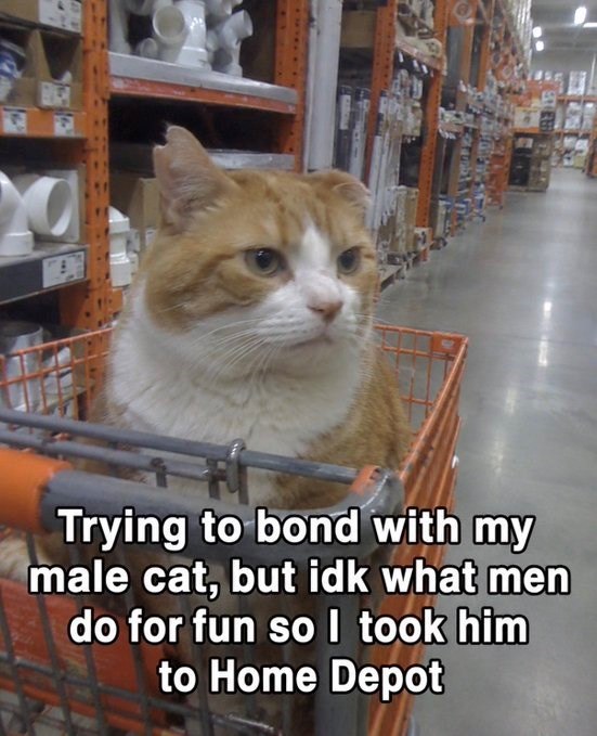 Trying to bond with my male cat, but idk what men do for fun so I took him to Home Depot F