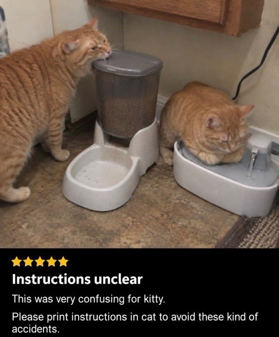 Instructions unclear This was very confusing for kitty. Please print instructions in cat to avoid these kind of accidents.