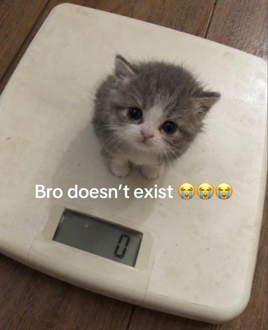 Bro doesn't exist