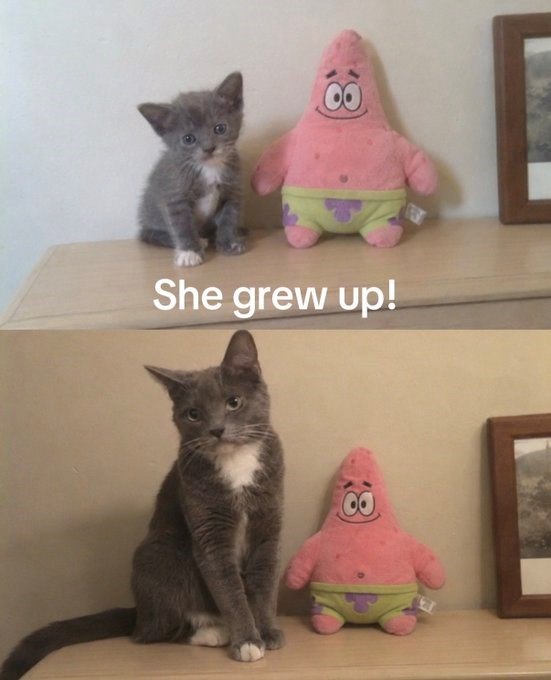 She grew up!