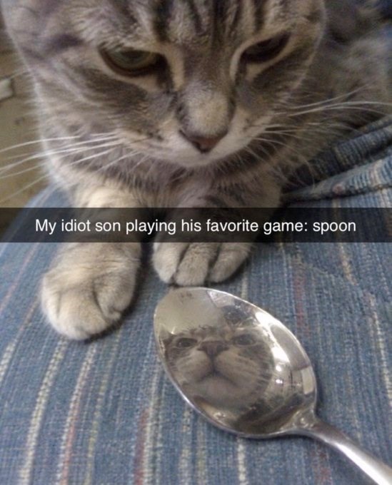 My idiot son playing his favorite game: spoon